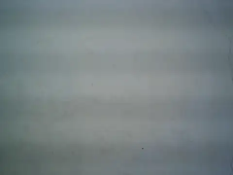 michel1520 online show from June 2026 08:00:02 AM