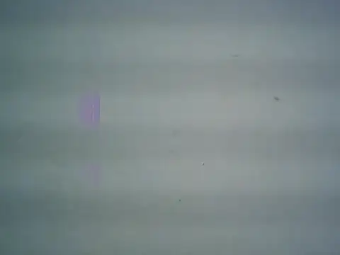 michel1520 online show from April 2026 11:30:02 PM