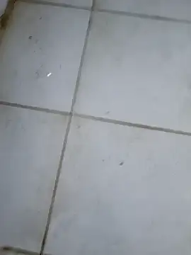 sexodoll1990 online show from February 2026 01:59:02 AM