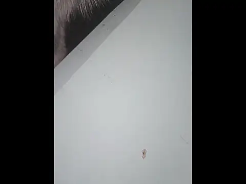 dany hardy online show from January 2026 10:05:02 PM