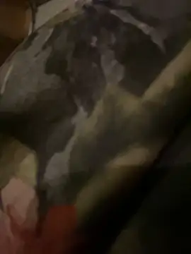 Snapshot of QTeepye chatting on February 2026 04:42:01 AM QTeepye online show from February 2026 04:42:01 AM