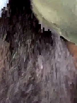 Lilymoonshow online show from November 2025 12:17:01 PM