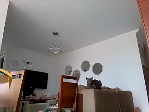 Munnoki online show from March 2026 10:37:01 AM