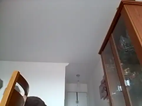 Munnoki online show from January 2026 09:35:01 AM