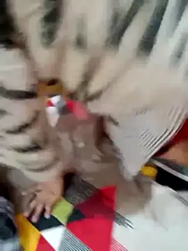 rameshjisex online show from December 2025 03:47:01 PM