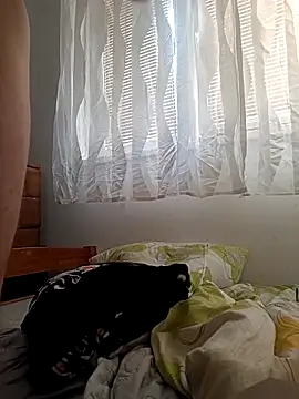 Bisexualhard23 online show from March 2026 08:27:02 AM