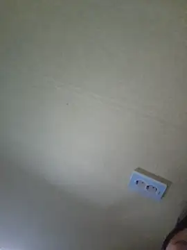 Snapshot of sklkeee0531 chatting on February 2025 01:29:01 PM sklkeee0531 online show from February 2025 01:29:01 PM