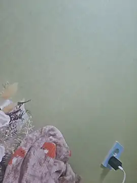 Snapshot of sklkeee0531 chatting on February 2025 03:04:02 PM sklkeee0531 online show from February 2025 03:04:02 PM