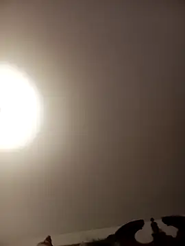 sofia6161 online show from January 2025 07:59:02 AM