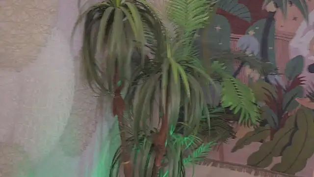 Bella Alita online show from October 2025 08:31:01 PM