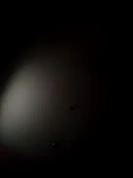 aAsdGf online show from February 2026 06:21:02 AM