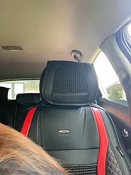 Kelley Allie online show from April 2026 08:31:02 AM