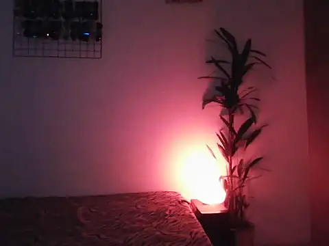 lollaxjf online show from May 2026 04:07:01 AM