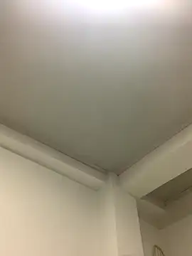 Bella still online show from October 2025 12:59:01 PM