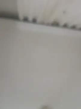 jacaranduba07 online show from February 2025 08:24:02 AM