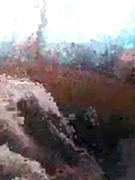 Snapshot of LaneYam chatting on July 2026 06:36:02 AM LaneYam online show from July 2026 06:36:02 AM