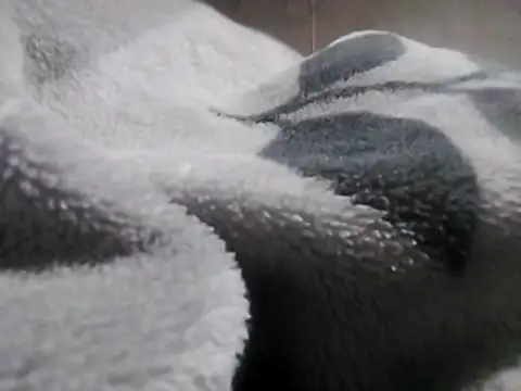 LaneYam online show from March 2026 08:24:02 PM