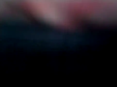 LaneYam online show from March 2026 12:28:02 PM