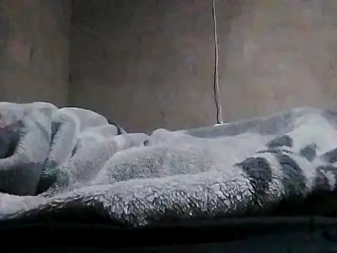 LaneYam online show from March 2026 08:09:01 PM