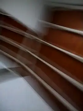 Snapshot of Josejotacamargo chatting on March 2025 02:53:02 PM Josejotacamargo online show from March 2025 02:53:02 PM