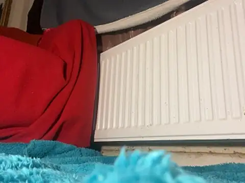 iccmananal online show from December 2025 02:44:01 AM