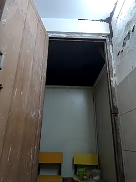 xx54362 online show from March 2026 04:58:02 PM