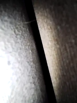 Snapshot of Speedyx0 chatting on February 2025 01:30:01 PM Speedyx0 online show from February 2025 01:30:01 PM