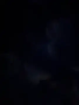 Miia Jazmin online show from January 2026 11:03:01 AM