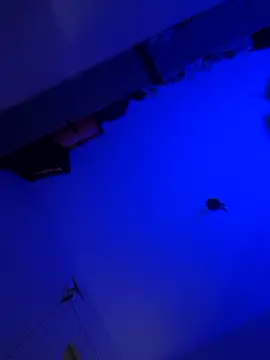 Snapshot of Raziv_komal143 chatting on March 2025 11:06:01 PM Raziv komal143 online show from March 2025 11:06:01 PM