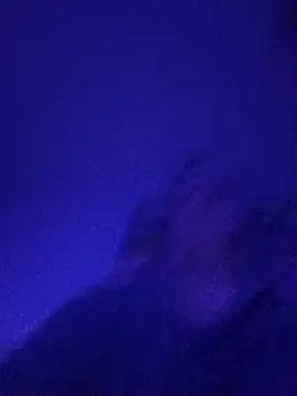 Paolo7619 online show from November 2025 05:05:01 PM