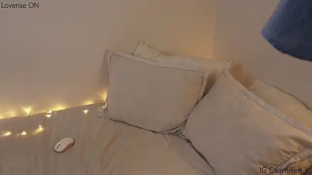 caamillee  online show from March 2025 10:53:01 PM