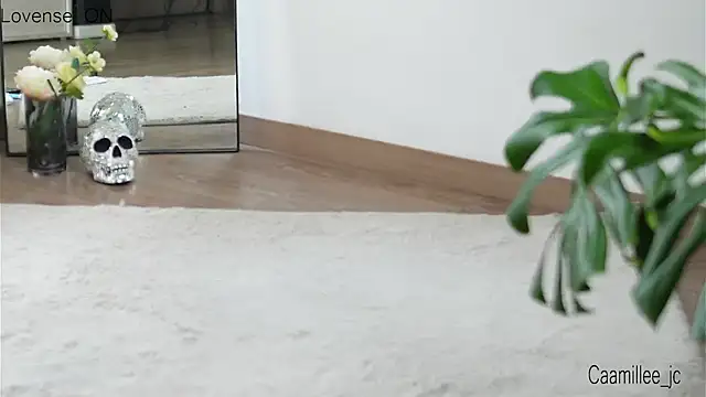 caamillee  online show from February 2025 08:47:01 PM