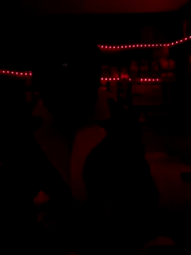 Snapshot of Blade_Ryder666 chatting on December 2025 07:57:02 AM Blade Ryder666 online show from December 2025 07:57:02 AM