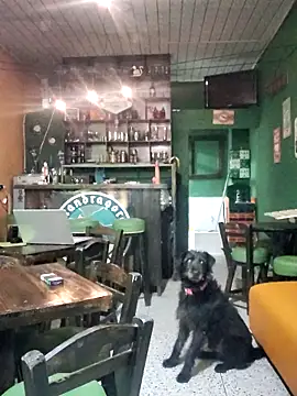 ilonna2025 online show from March 2026 11:34:01 PM