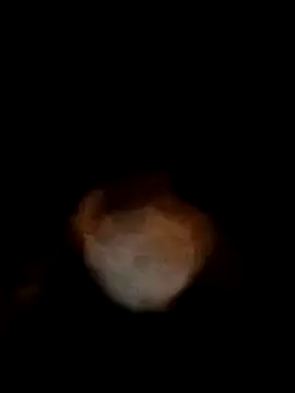 bobbuilder77pl online show from January 2025 11:07:01 PM