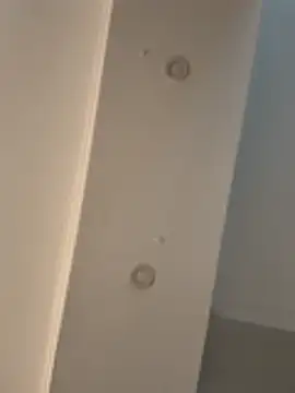 dereckgreen online show from February 2026 09:23:01 PM