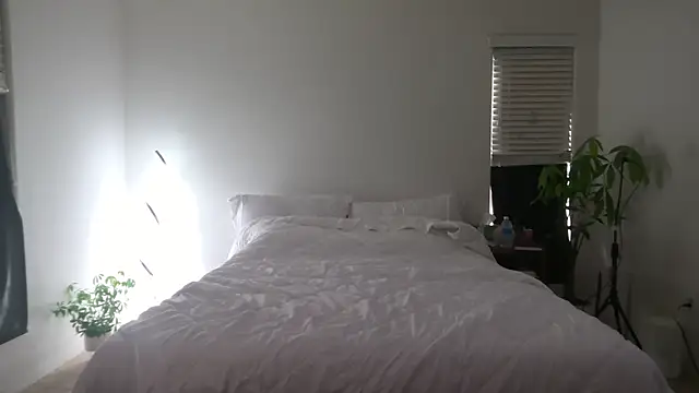 ha888we online show from March 2025 04:00:02 PM