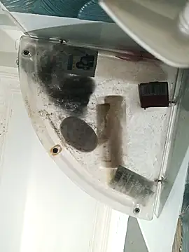 Snapshot of Siddharth_love8 chatting on November 2025 05:29:02 AM Siddharth love8 online show from November 2025 05:29:02 AM