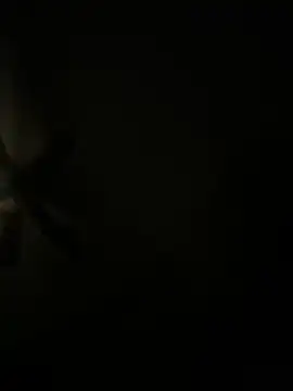 biggzee6 online show from April 2026 11:24:02 AM