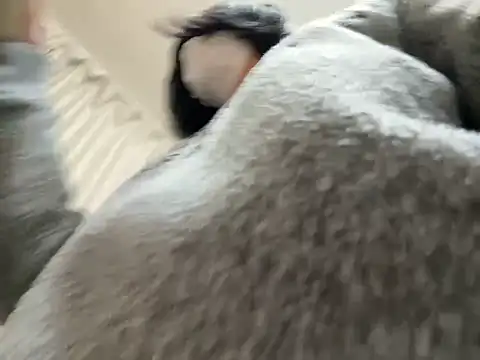 riri riri jp online show from February 2026 10:26:01 AM