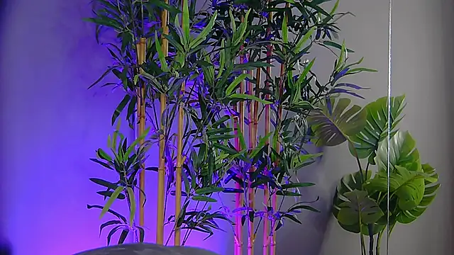 Snapshot of PatriciaSpice chatting on November 2025 05:22:02 AM PatriciaSpice online show from November 2025 05:22:02 AM