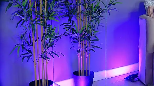 Snapshot of PatriciaSpice chatting on November 2025 05:22:01 AM PatriciaSpice online show from November 2025 05:22:01 AM