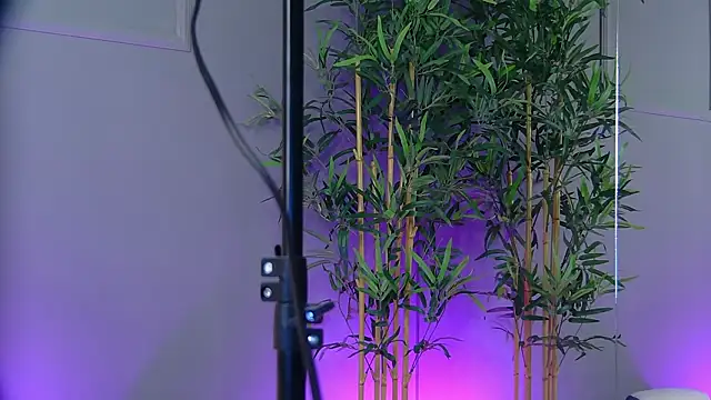 Snapshot of PatriciaSpice chatting on January 2026 05:33:02 AM PatriciaSpice online show from January 2026 05:33:02 AM