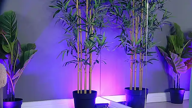 Snapshot of PatriciaSpice chatting on October 2025 05:19:02 AM PatriciaSpice online show from October 2025 05:19:02 AM