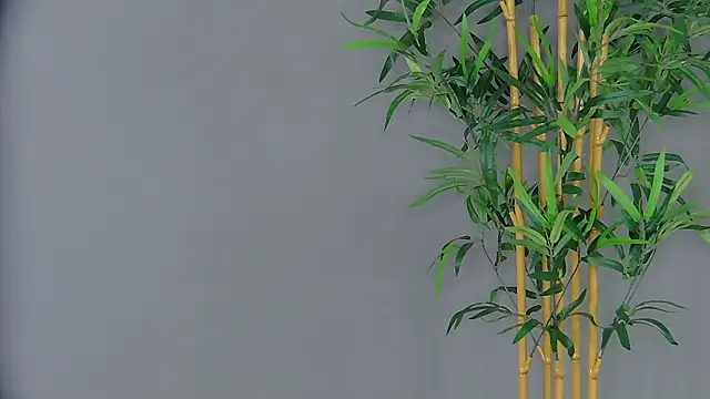 Snapshot of PatriciaSpice chatting on March 2026 05:14:01 AM PatriciaSpice online show from March 2026 05:14:01 AM