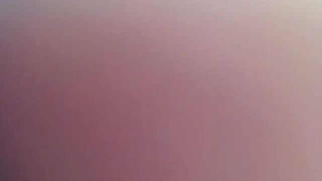 Kitten Cam online show from April 2026 10:38:01 PM