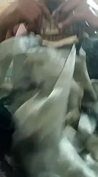 Snapshot of chocobbsimarn chatting on March 2025 10:53:01 PM chocobbsimarn online show from March 2025 10:53:01 PM