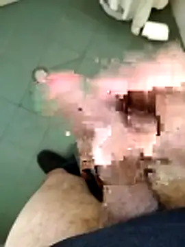 Snapshot of arveia chatting on March 2026 08:58:01 AM arveia online show from March 2026 08:58:01 AM