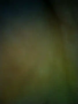 Madryndelsurxxx online show from February 2026 11:25:01 PM