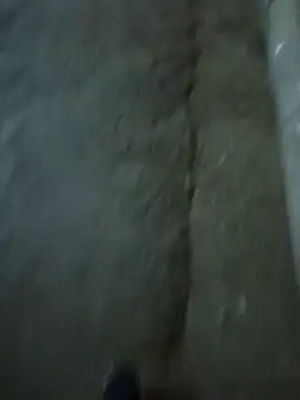 Raj41 online show from December 2025 03:11:01 PM